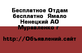 Бесплатное Отдам бесплатно. Ямало-Ненецкий АО,Муравленко г.